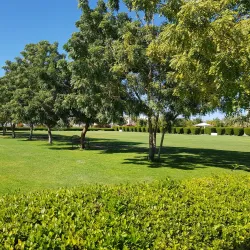 Ibra Public Park - Ibra