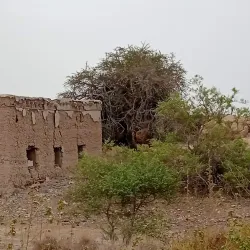 Al Dhahirah Archaeological Sites - 'ibri