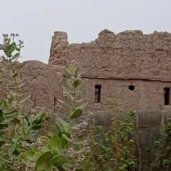 Al Dhahirah Archaeological Sites - 'ibri