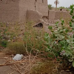 Al Dhahirah Archaeological Sites - 'ibri