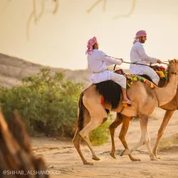 Al Dhahirah Museum - 'ibri