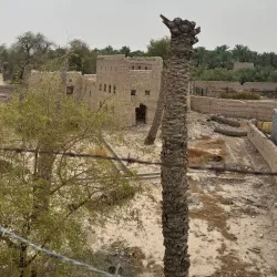 Al Hashar Fort - 'ibri