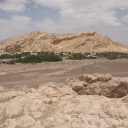 Al Hashar Fort - 'ibri