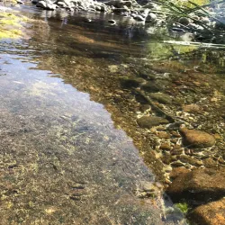 Wadi Al Jizzi - 'ibri