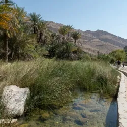 Wadi Bani Khalid (day trip) - 'ibri
