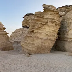 Ras Al Hadd Turtle Reserve - Matruh