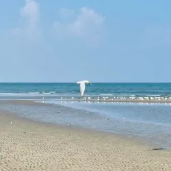 Qurum Beach - Muscat