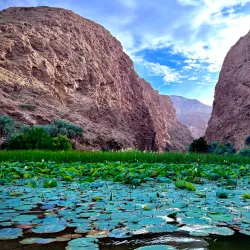 Wadi Shab - Muscat
