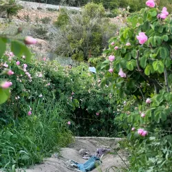 Al Jabal Al Akhdar (The Green Mountain) - Nizwa