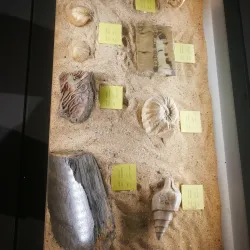 Oman Oil and Gas Exhibition Centre - Ruwi