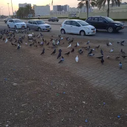 Ruwi Clock Tower - Ruwi