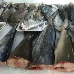 Ruwi Fish Market - Ruwi