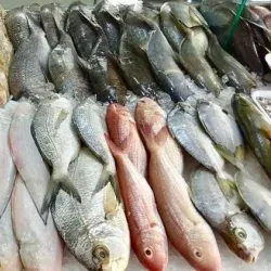 Ruwi Fish Market - Ruwi