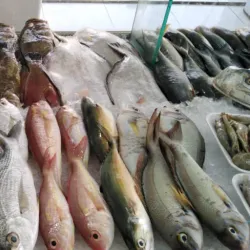 Ruwi Fish Market - Ruwi