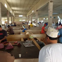 Seeb Fish Market - Seeb (As-Sib