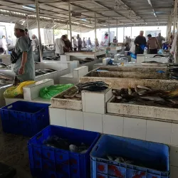 Seeb Fish Market - Seeb (As-Sib