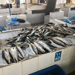 Seeb Fish Market - Seeb (As-Sib