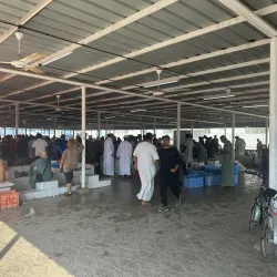 Seeb Fish Market - Seeb (As-Sib