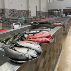 Seeb Fish Market - Seeb (As-Sib