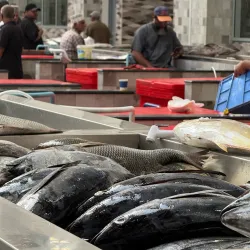 Seeb Fish Market - Seeb (As-Sib
