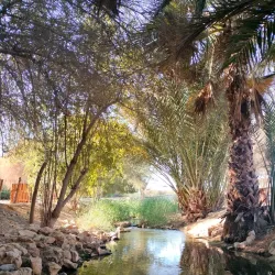 Al Ansab Wetland Reserve - Sohar
