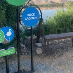 Al Ansab Wetland Reserve - Sohar