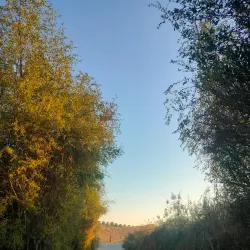 Al Ansab Wetland Reserve - Sohar
