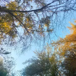 Al Ansab Wetland Reserve - Sohar