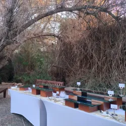 Al Ansab Wetland Reserve - Sohar