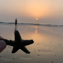 Sohar Corniche - Sohar