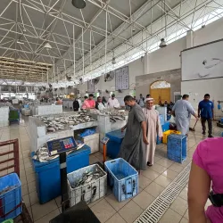 Sohar Fish Market - Sohar
