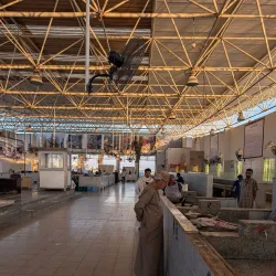 Sohar Fish Market - Sohar