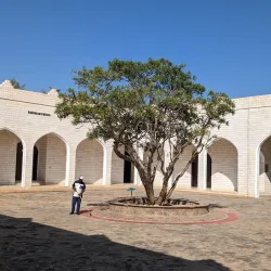 Frankincense Land Museum - Taqah