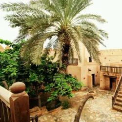 Taqah Castle - Taqah