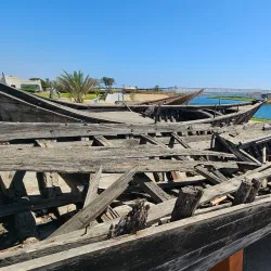 Al Baleed Archaeological Park - Thumrait