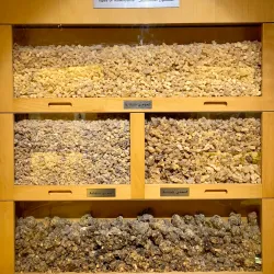 Frankincense Land Museum - Thumrait