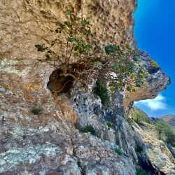 Jebel Samhan Nature Reserve - Thumrait