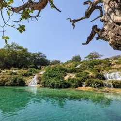 Wadi Darbat - Thumrait