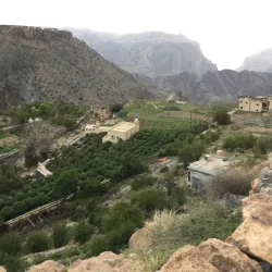 Jebel Akhdar (Green Mountain) - Yanqul