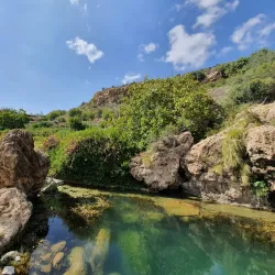 Jebel Akhdar (Green Mountain) - Yanqul