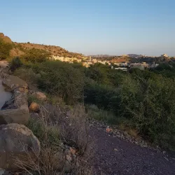 Jebel Akhdar (Green Mountain) - Yanqul