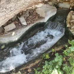 Wadi Al-Maawil - Yanqul