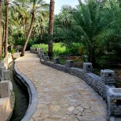 Wadi Al-Maawil - Yanqul