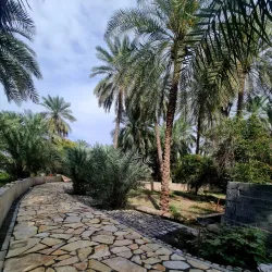 Wadi Al-Maawil - Yanqul