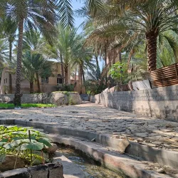 Wadi Al-Maawil - Yanqul