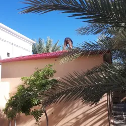 Yanqul Fort - Yanqul