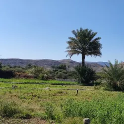 Yanqul Fort - Yanqul