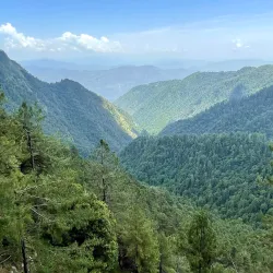 Ayubia National Park - Abbottabad