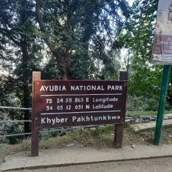 Ayubia National Park - Abbottabad