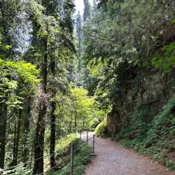 Ayubia National Park - Abbottabad